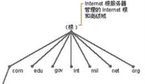 域名管理权限用来做域名解析域名所有者重要证据